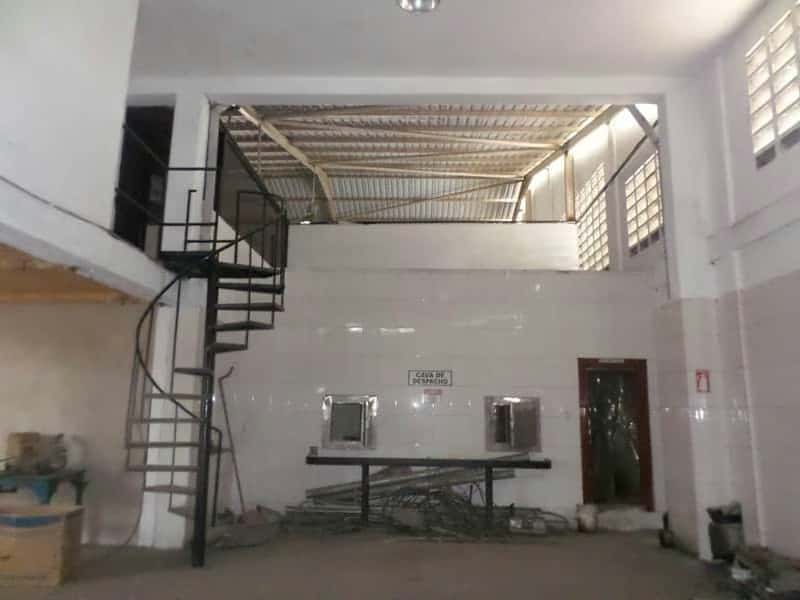 Vista 15