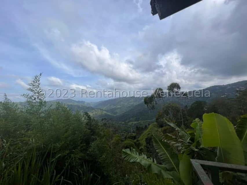 View 5