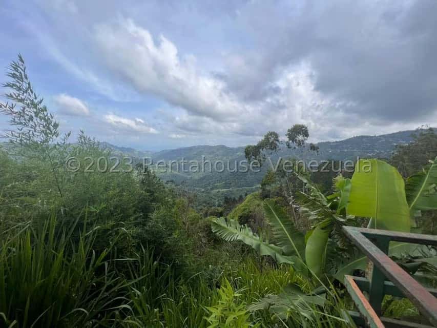 View 10