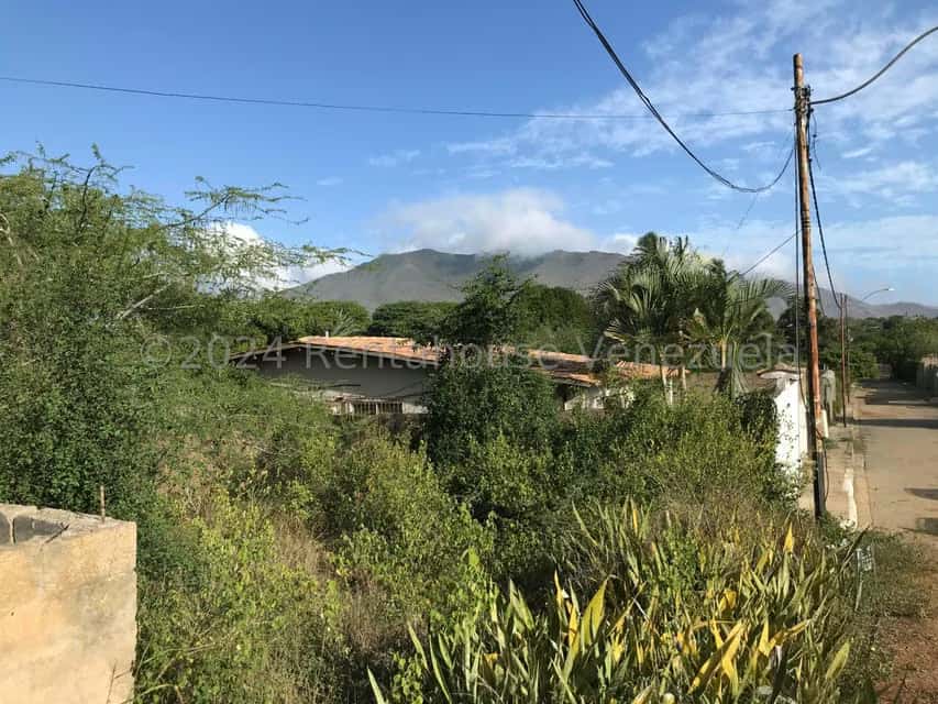 View 7