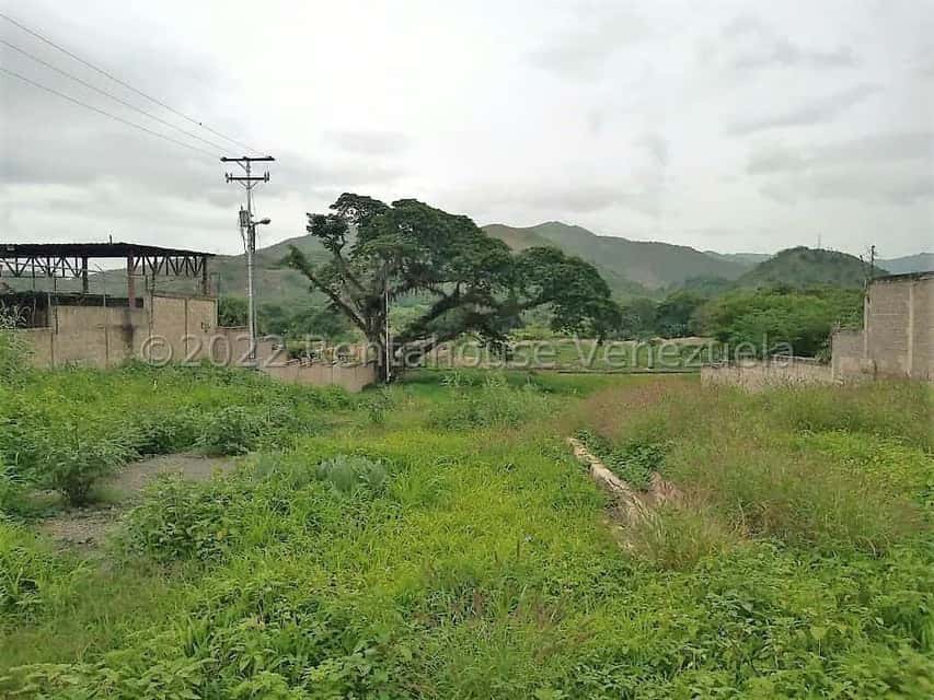 View 14