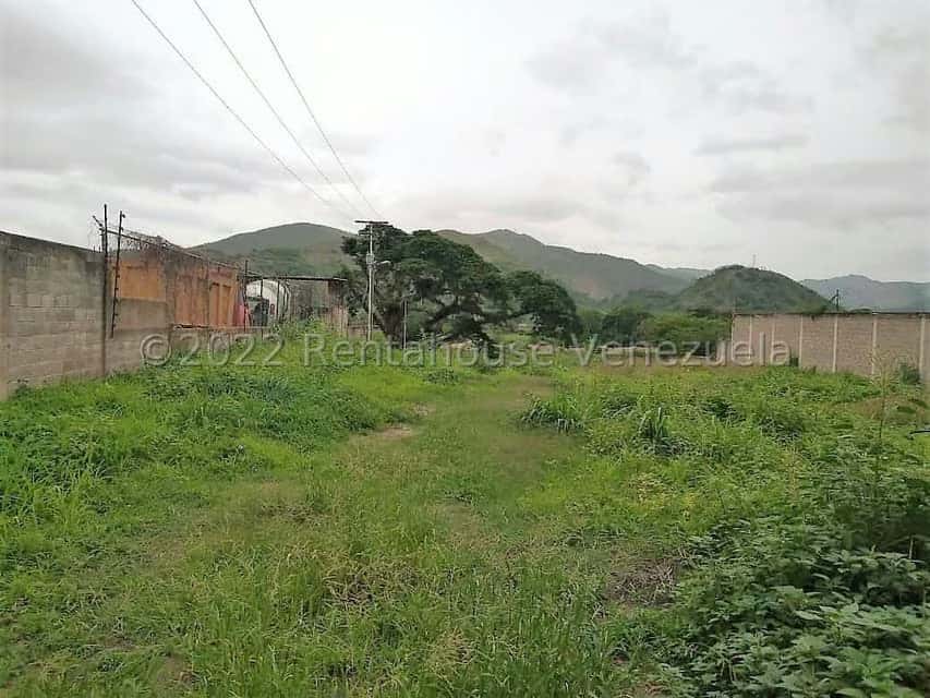 View 9