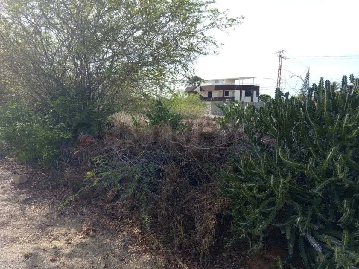 View 9