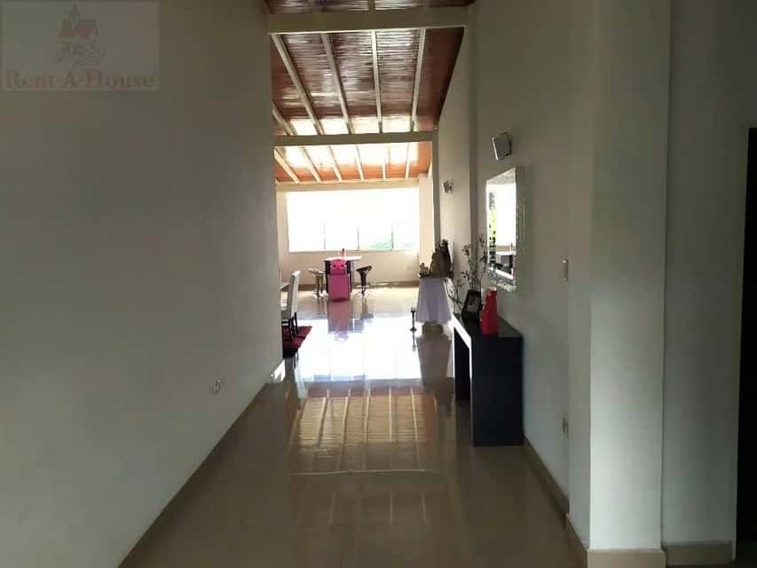 View 23