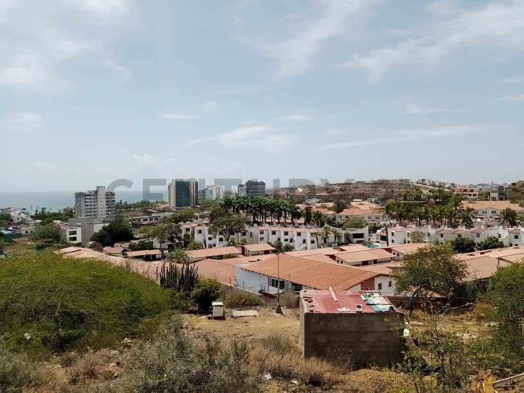 Vista 3