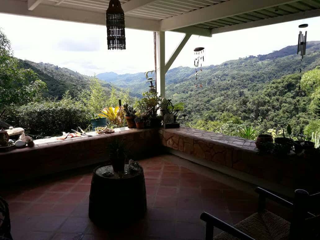 View 6