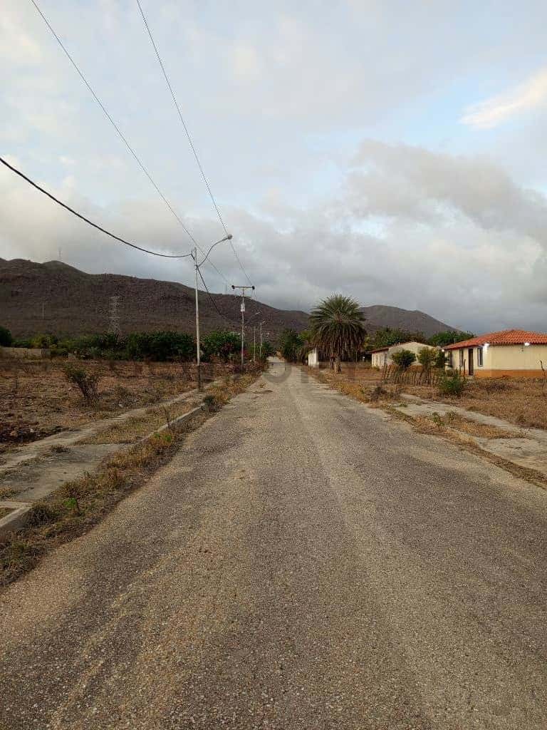 Vista 11