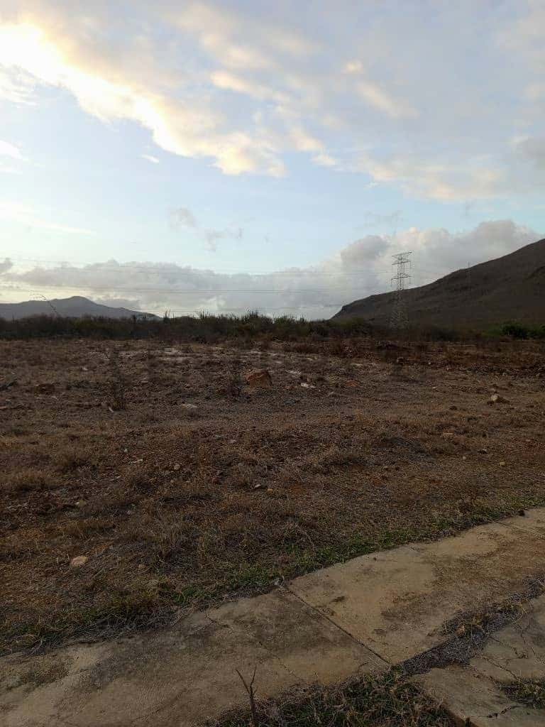 Vista 4