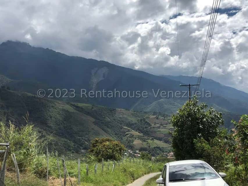 View 11