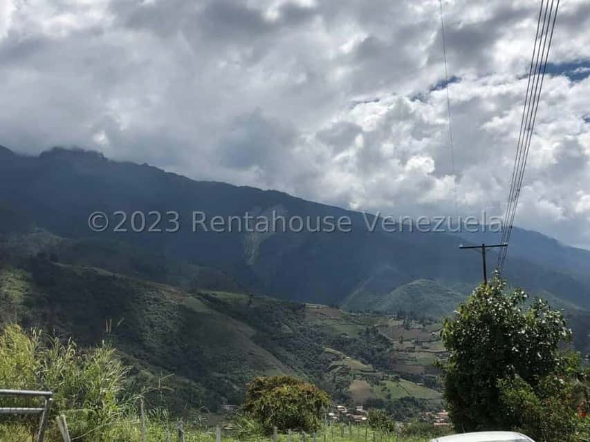 View 8