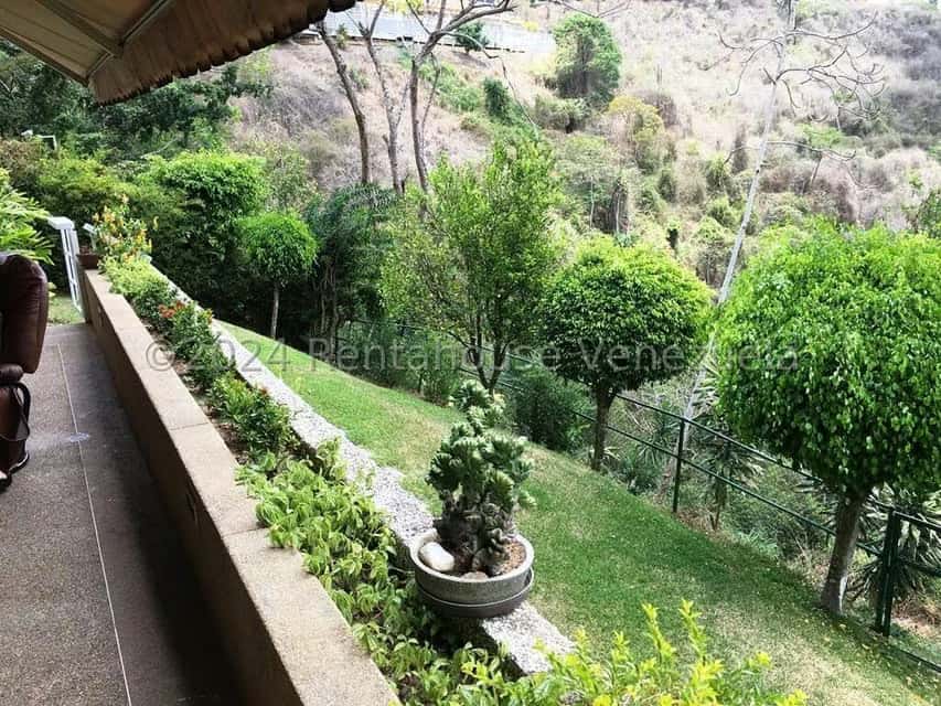 Vista 37