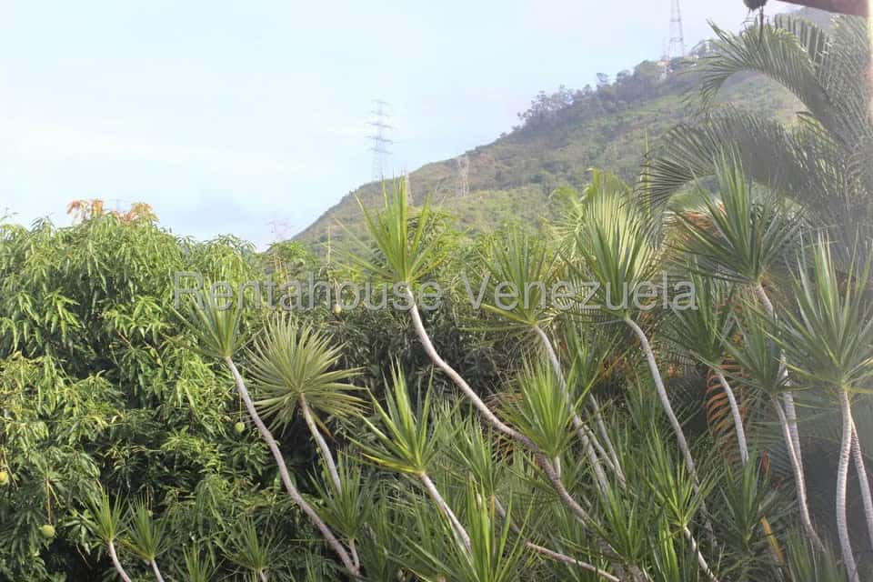 View 29