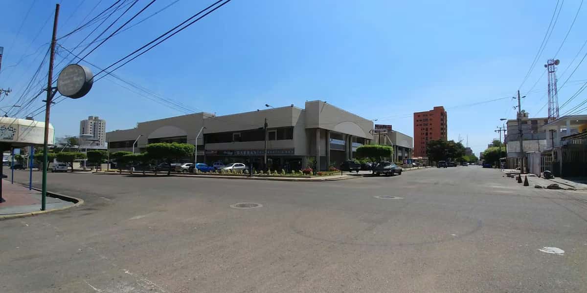 Vista 18
