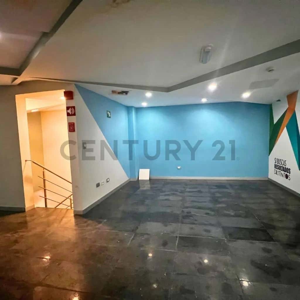 Vista 11
