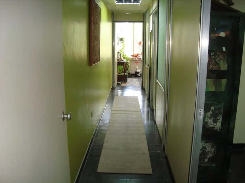 Vista 6