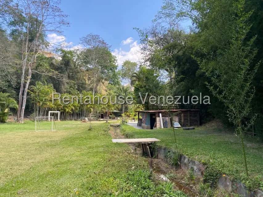 View 29