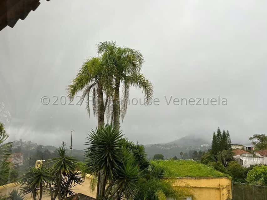 View 97
