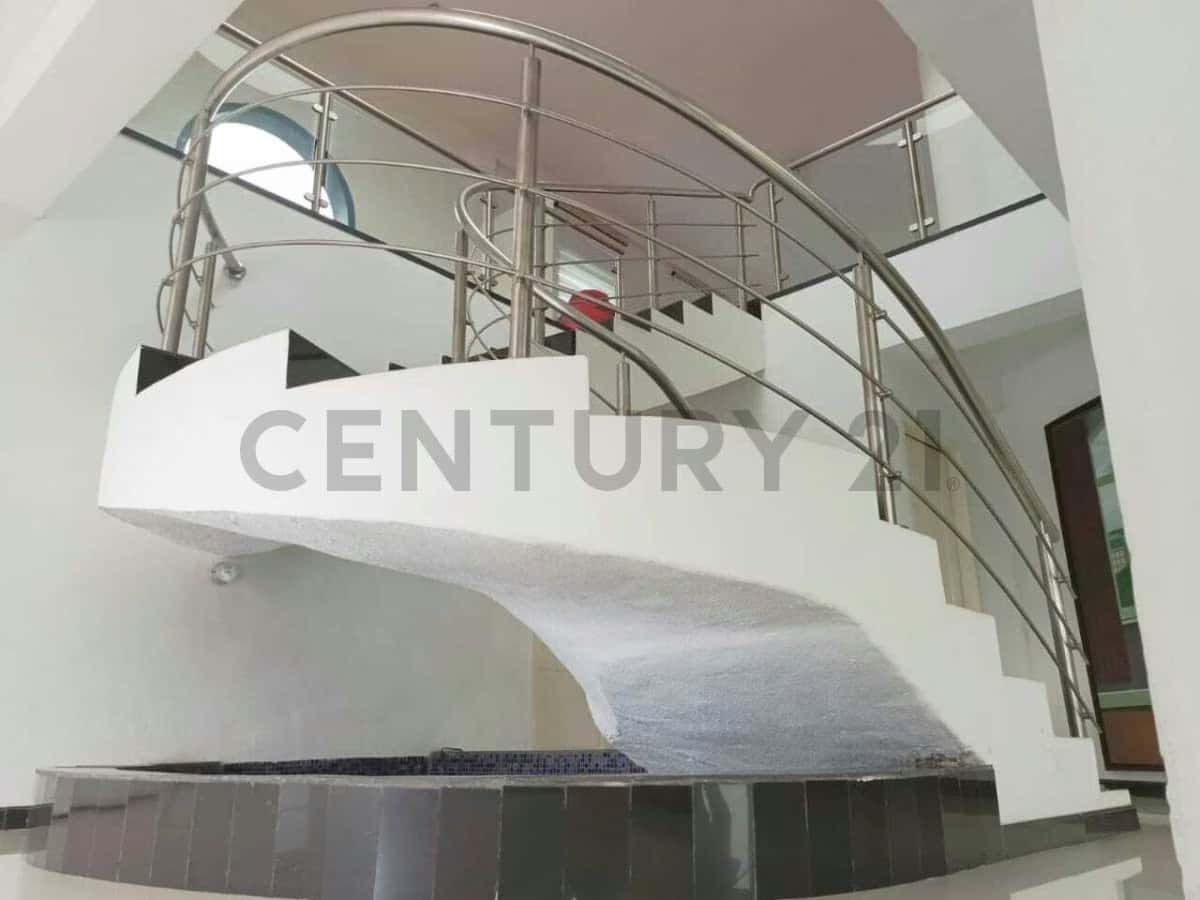 View 24
