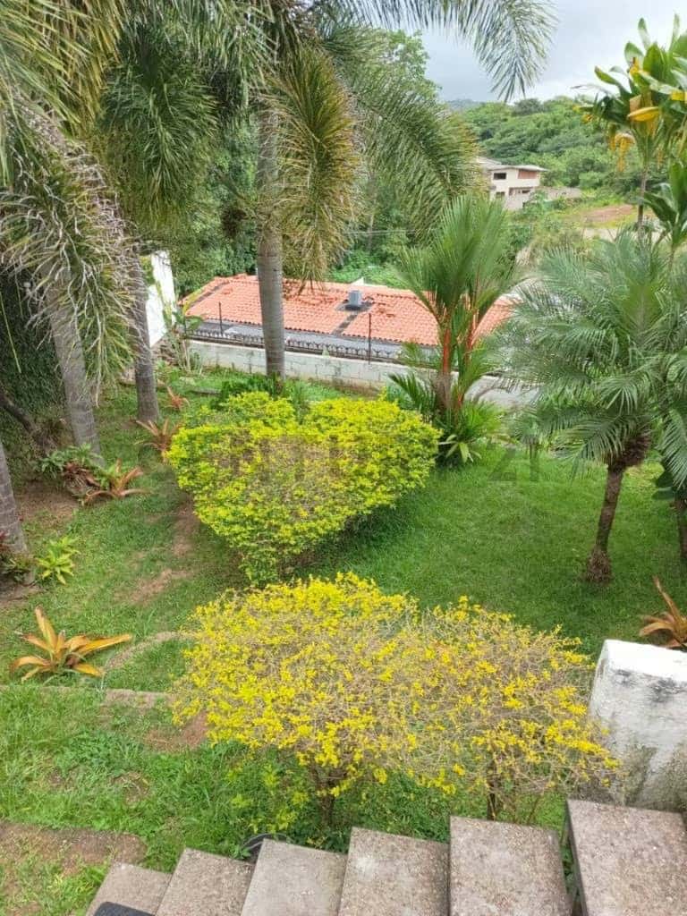 View 7