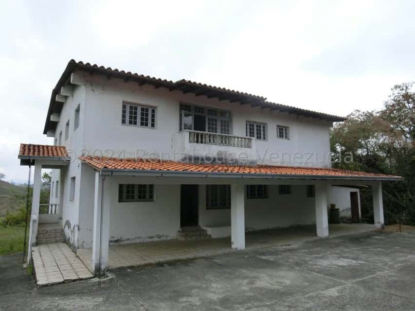 Vista 37