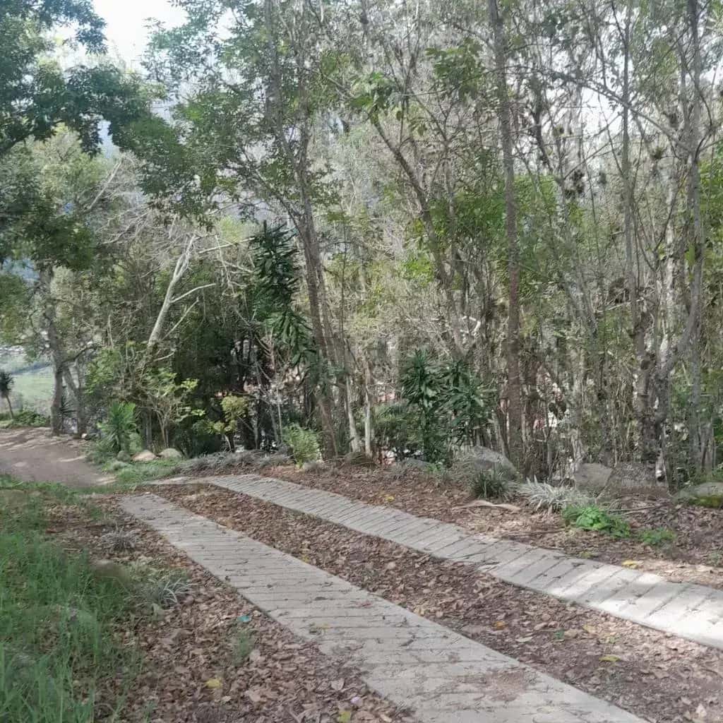 Vista 1