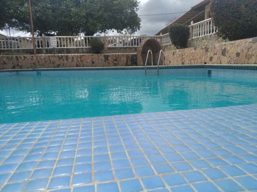 Vista 14