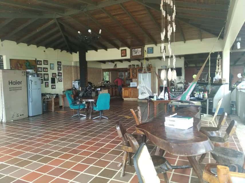 Vista 3