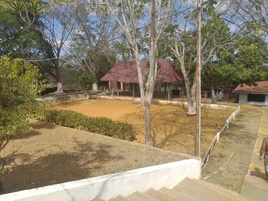 Vista 9