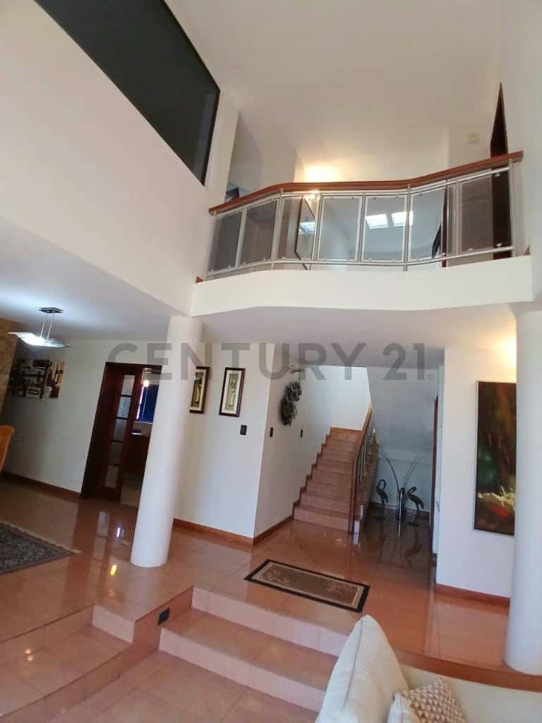 Vista 16