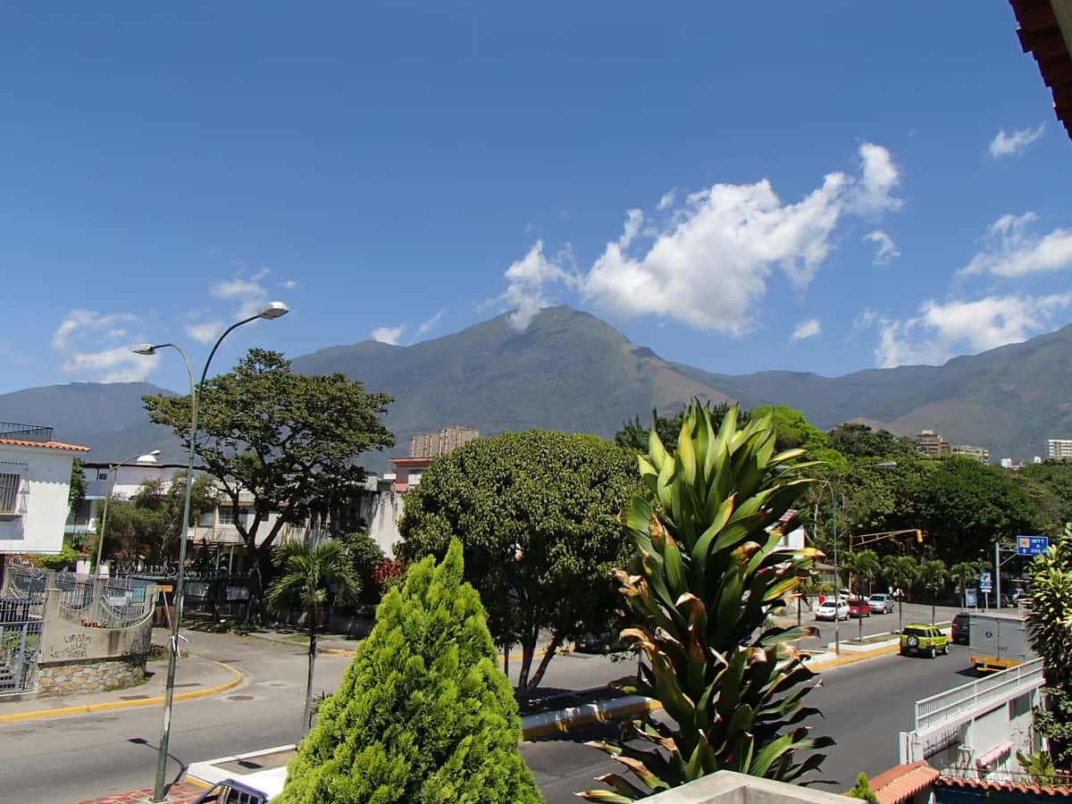View 66