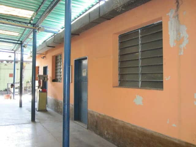 View 25
