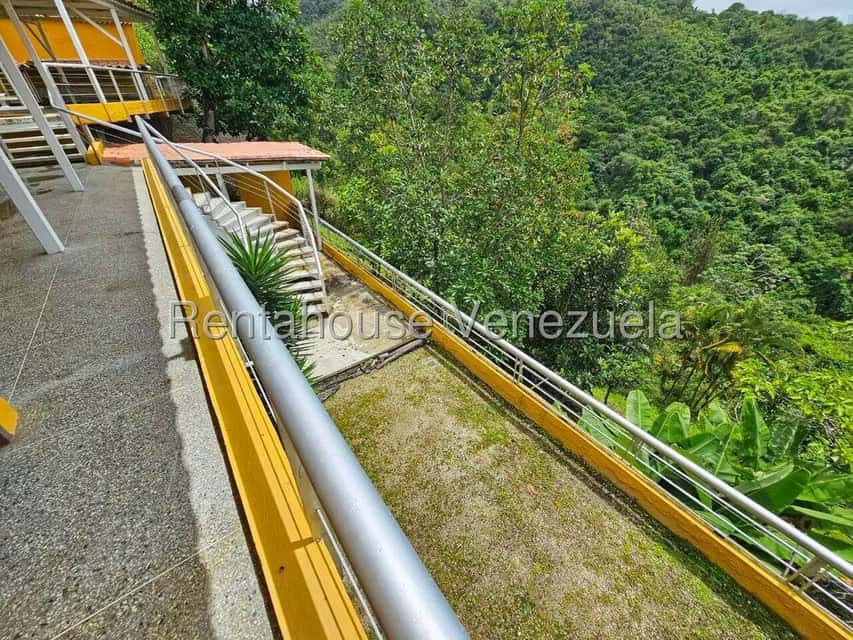 Vista 77