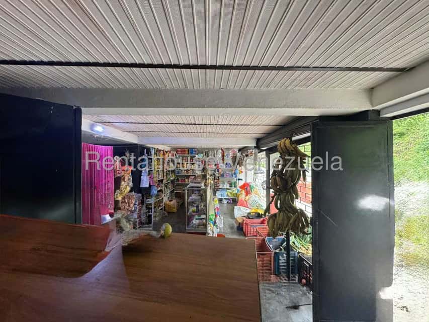 Vista 40