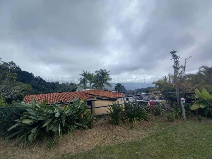 View 55