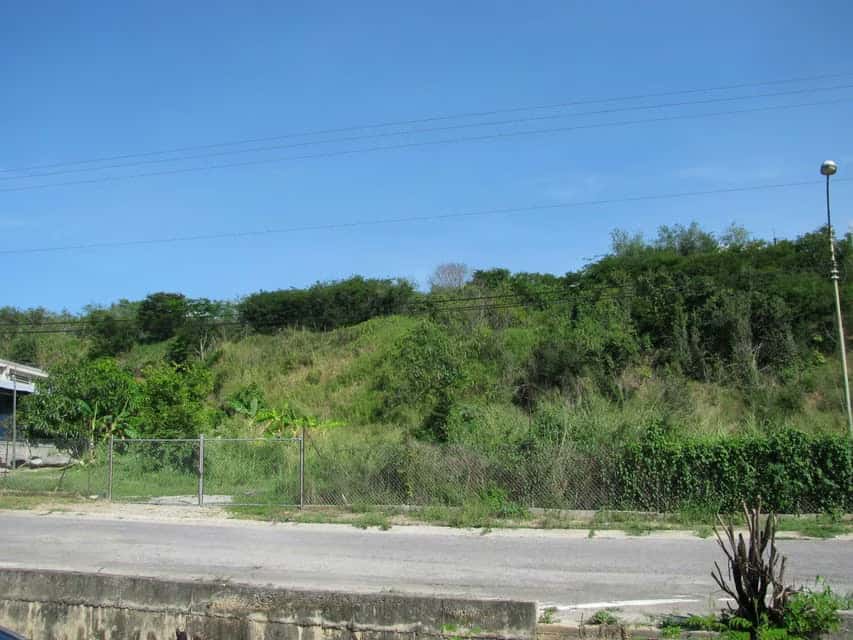 Vista 8