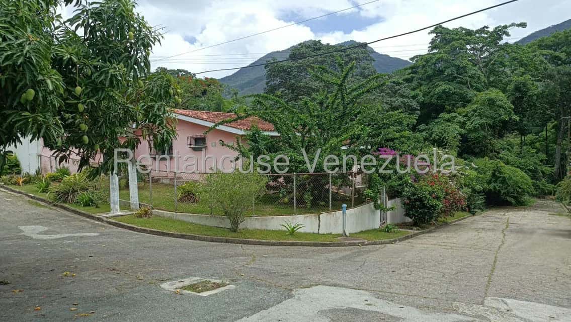 Vista 1