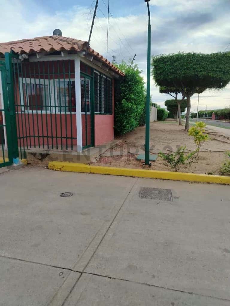 Vista 2