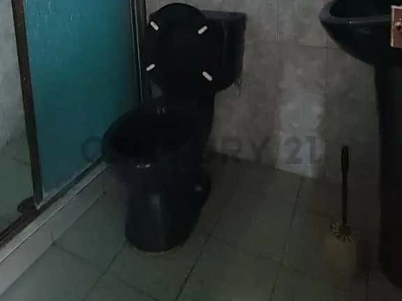 Vista 11