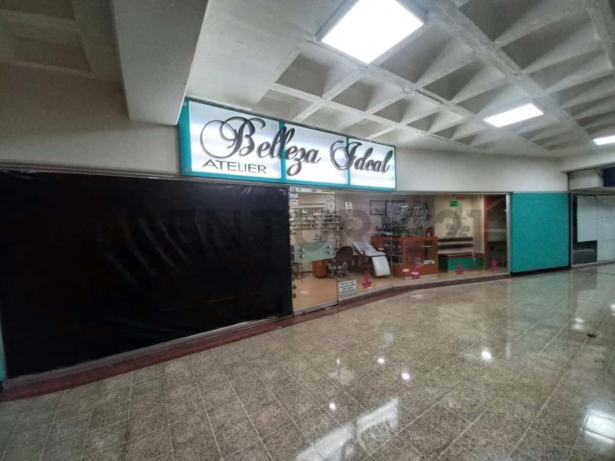 Vista 1