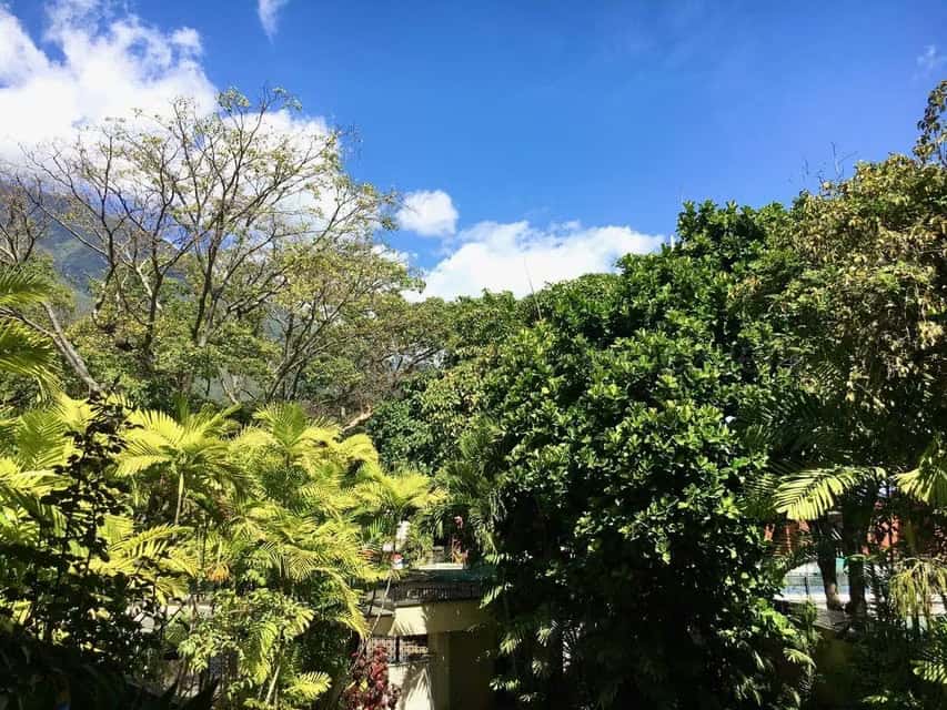View 38