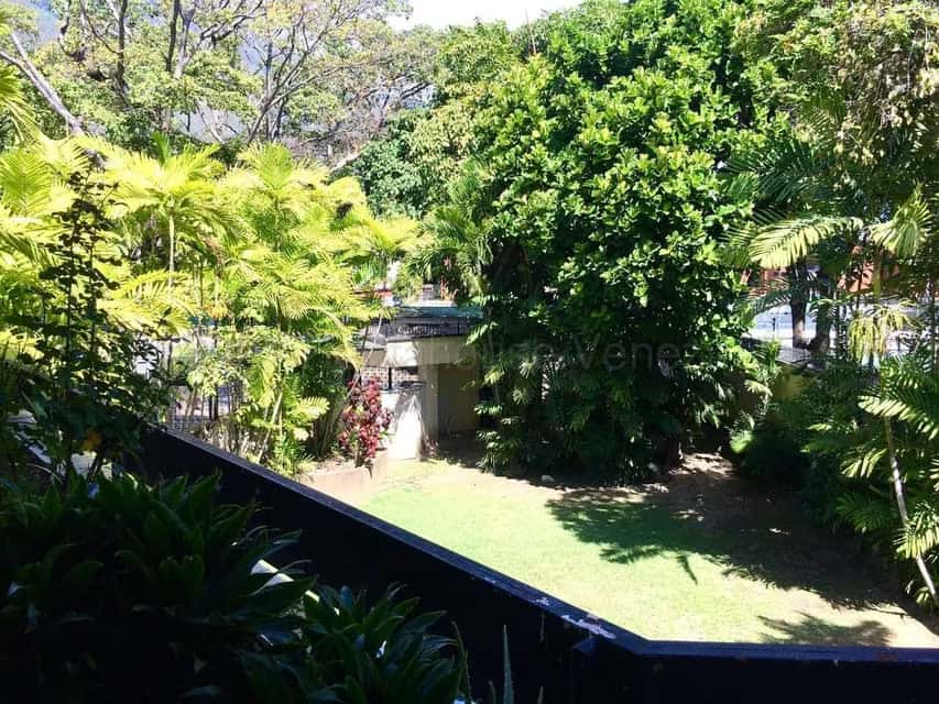View 39