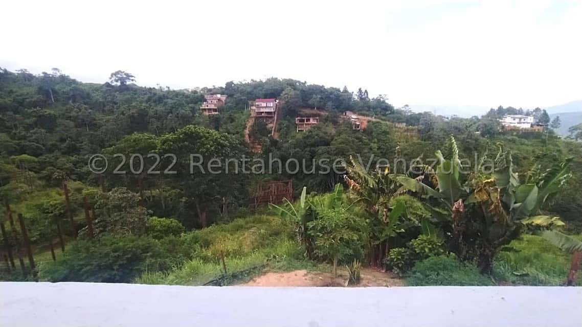View 11