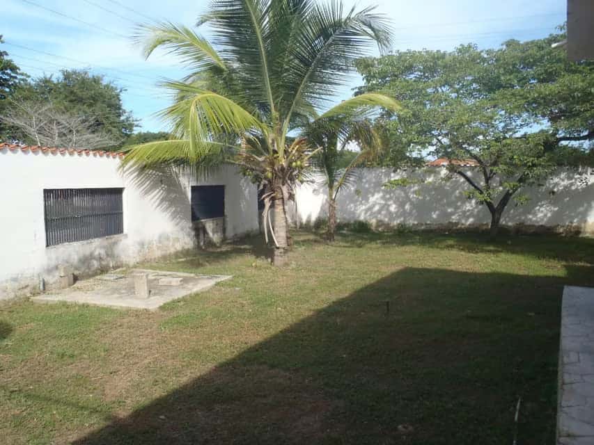 View 19