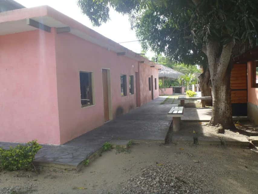 View 24
