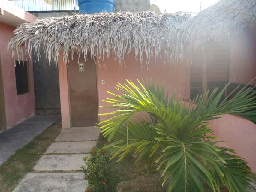 View 25