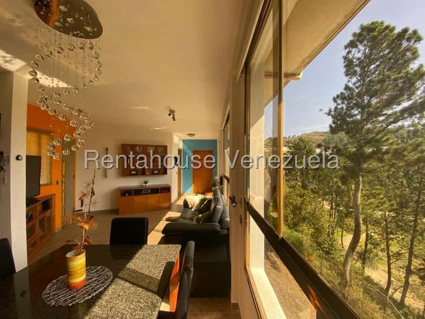 Vista 21