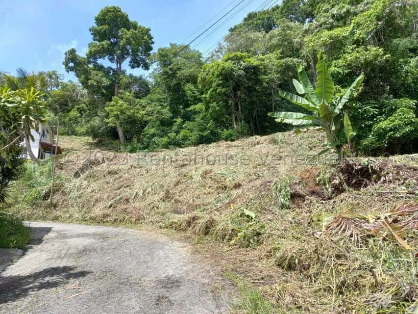 Vista 1