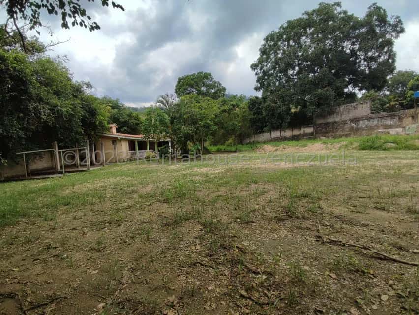 View 12