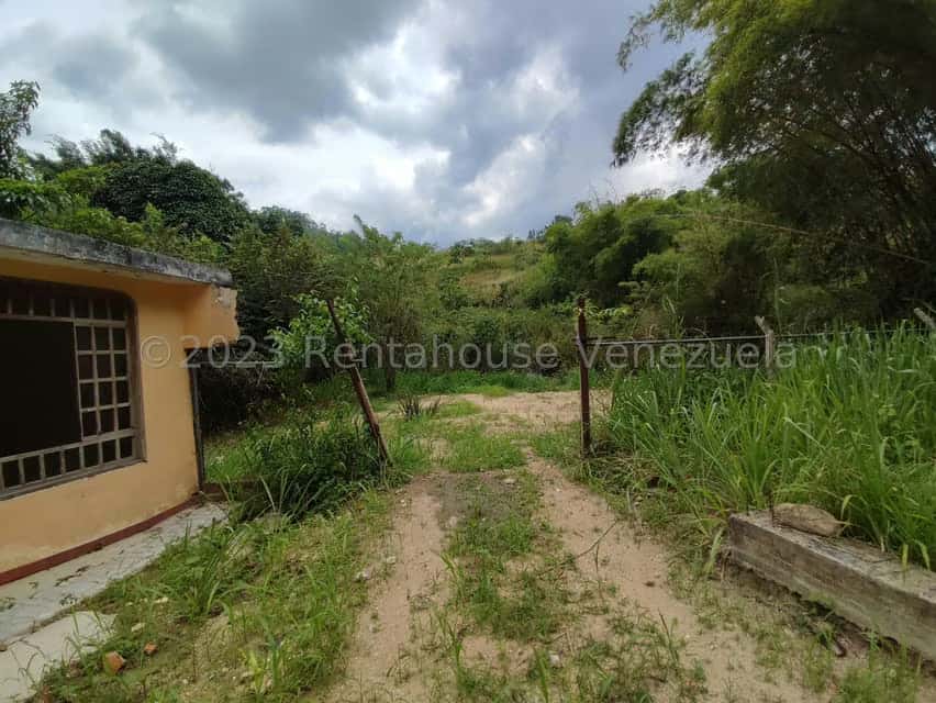 View 21
