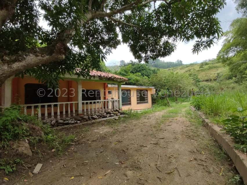 View 25